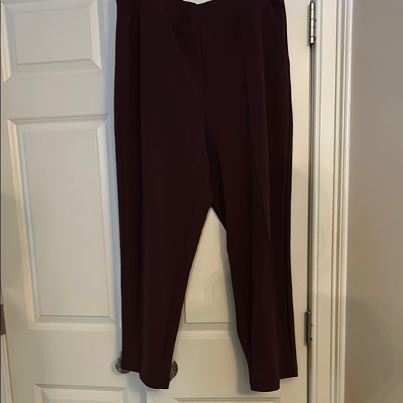 Elegant Burgundy Women's Pants - Picture 1 of 3